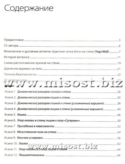 Йога-патта: Учебное пособие по технике йоги на веревках у стены - Yoga Wall. Данилов Д.А.