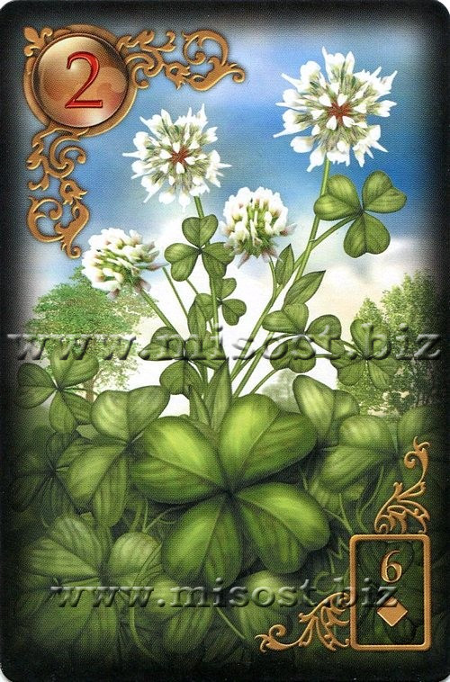 Gilded Reverie Lenormand. Ciro Marchetti