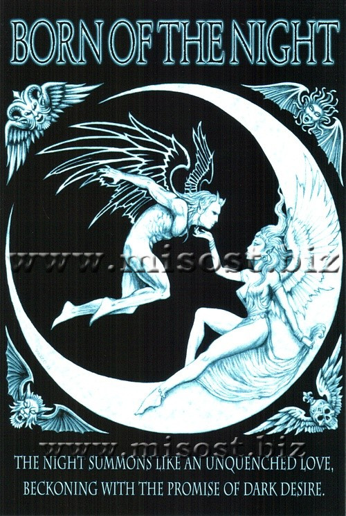 BORN OF THE NIGHT