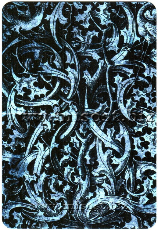 Готический Оракул Ленорман. Тайны Старого Замка. Береника